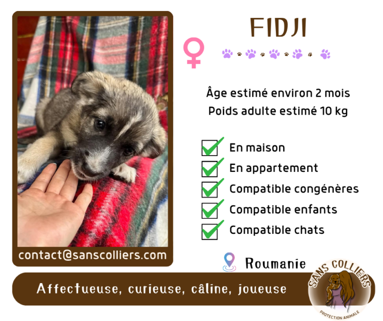 FIDJI