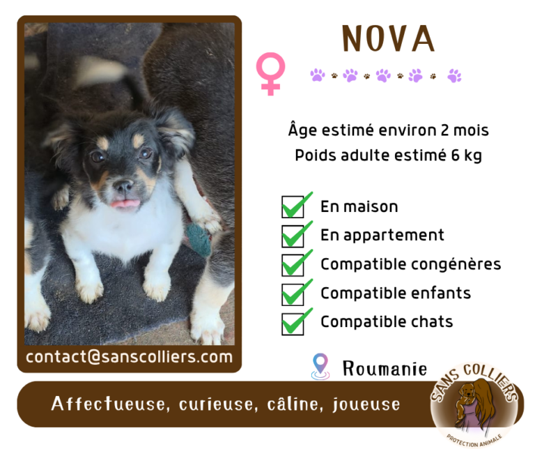 NOVA