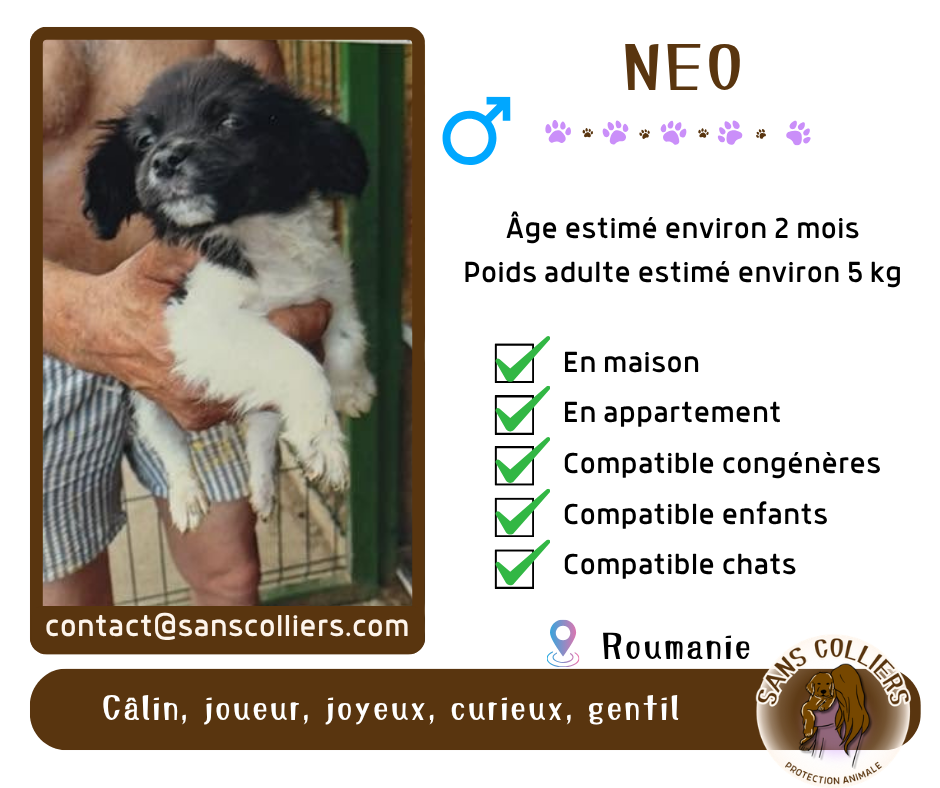 NEO