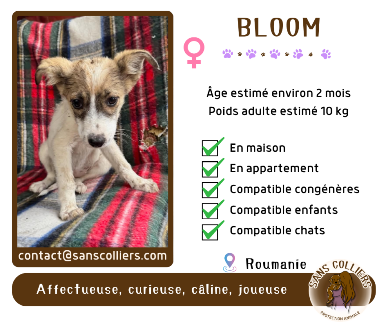 BLOOM