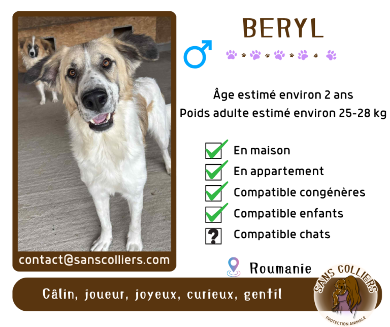 BERYL