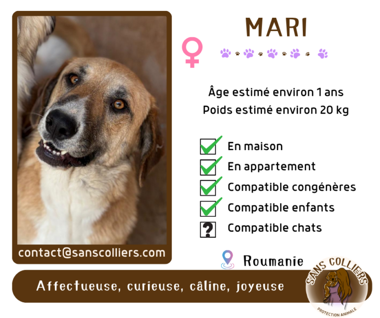MARI