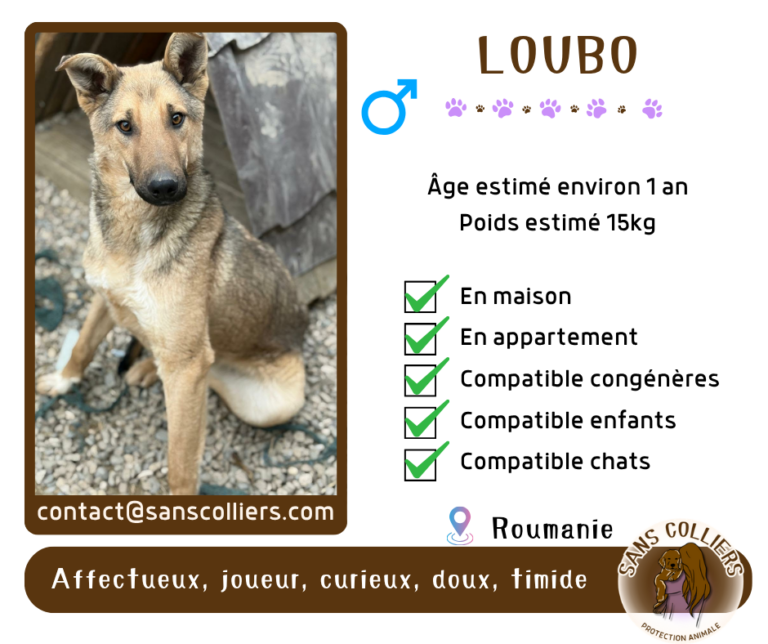 LOUBO