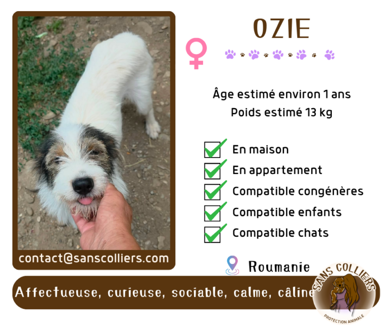 OZIE