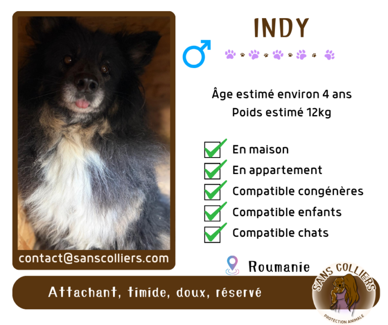 INDY
