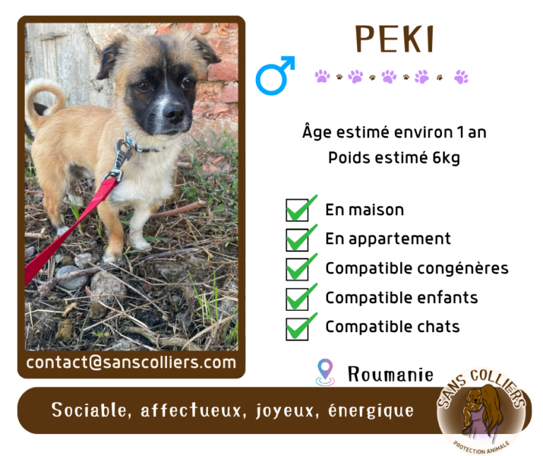 PEKI