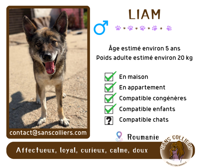 LIAM