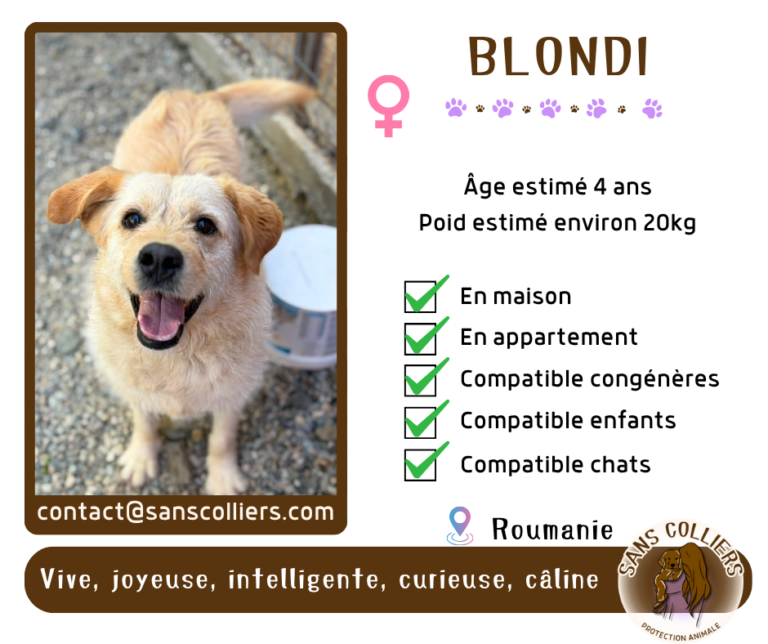 BLONDI