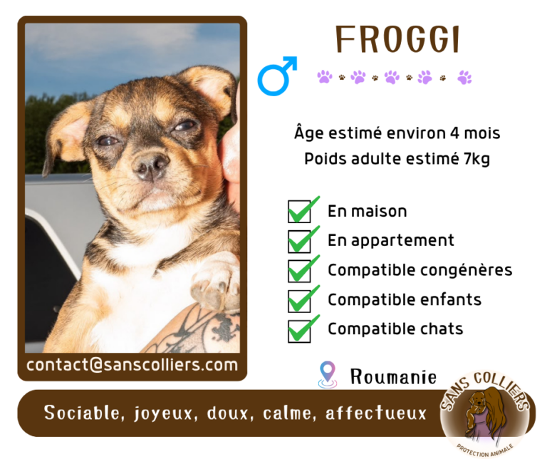 FROGGI