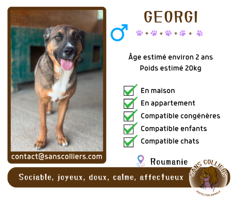 GEORGI