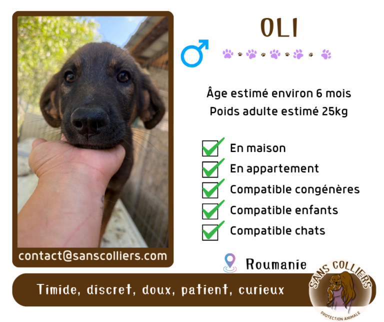 OLI