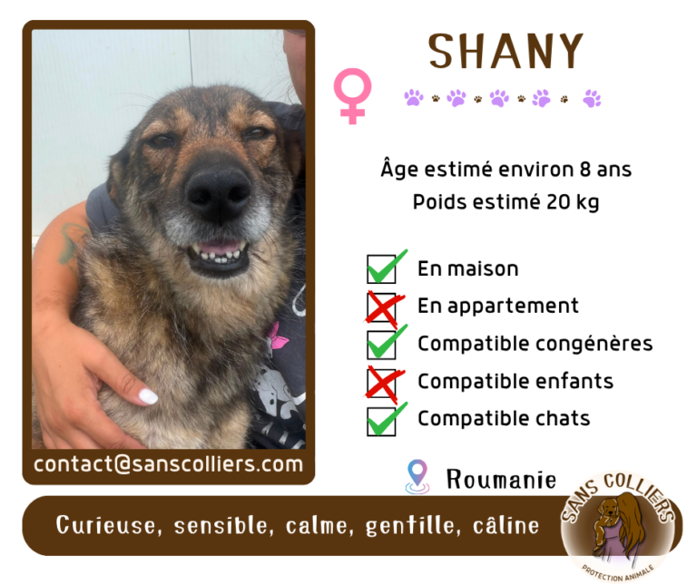 SHANY