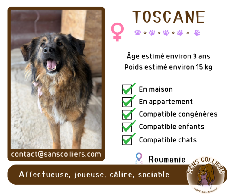 TOSCANE
