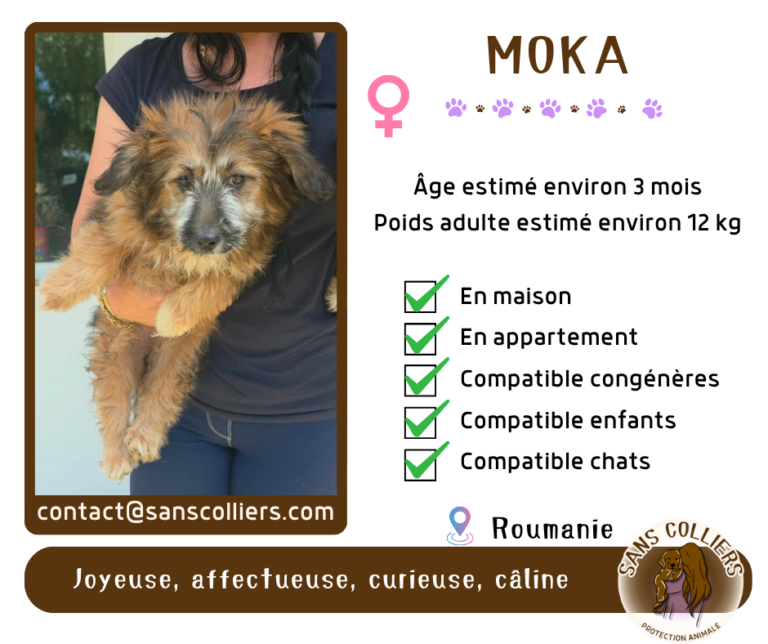 MOKA