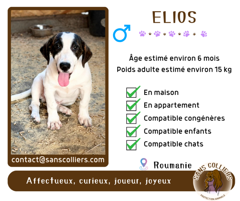 ELIOS
