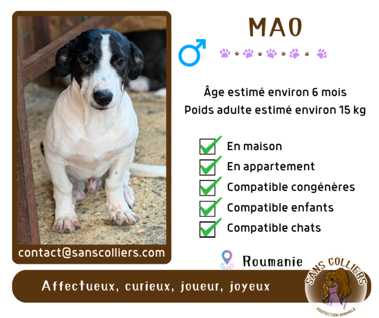MAO