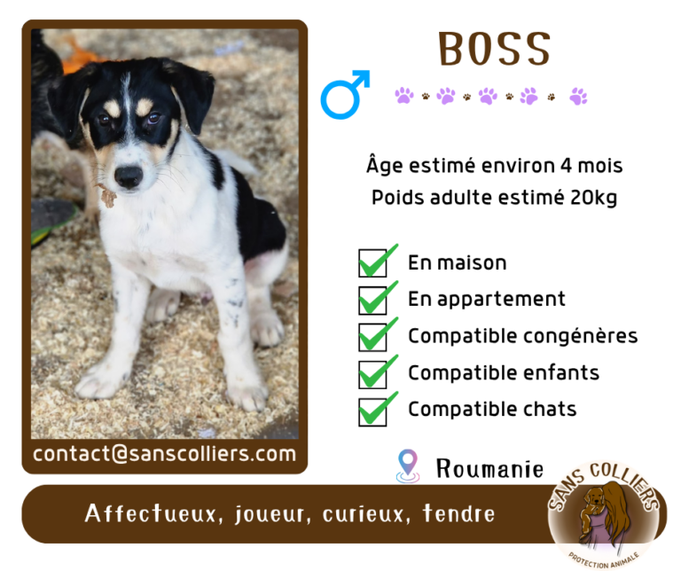 BOSS