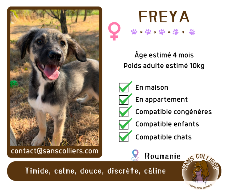 FREYA