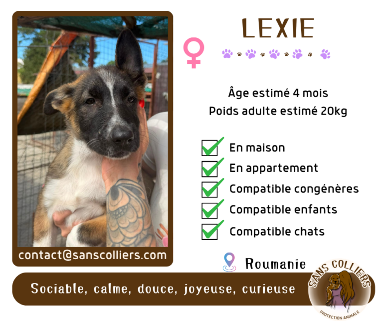 LEXIE