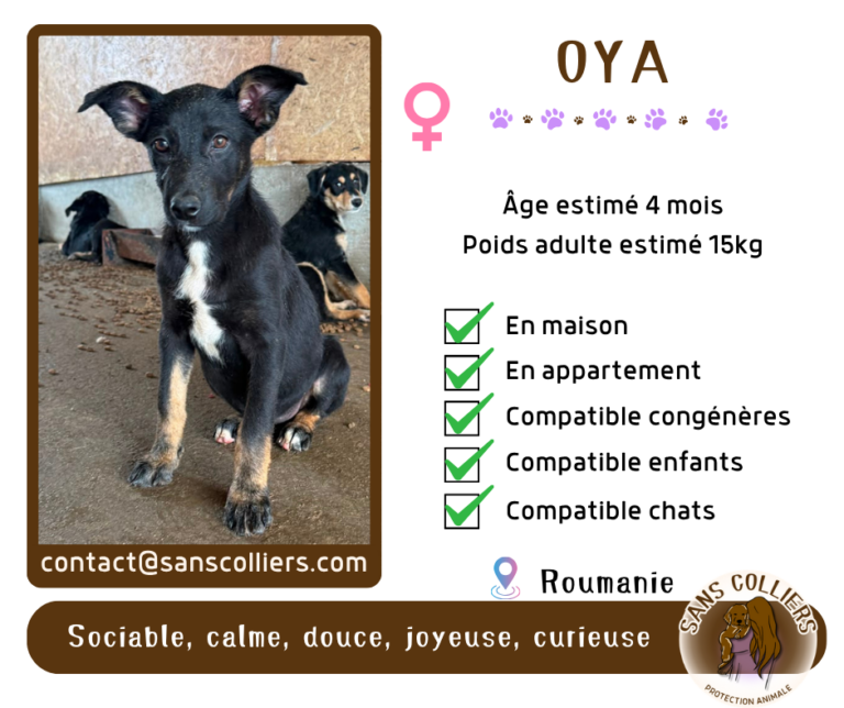 OYA