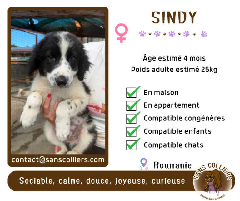 SINDY