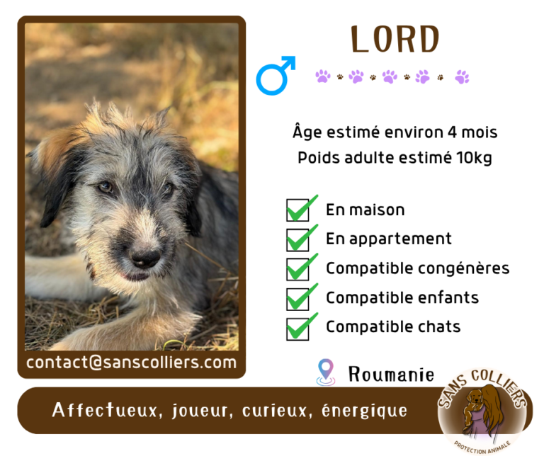 LORD