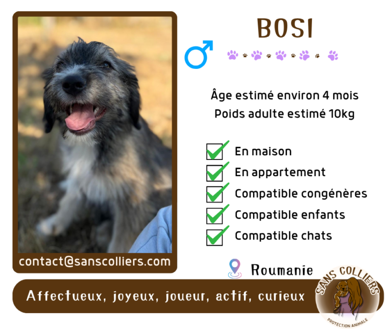BOSI